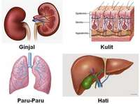 Ekspresi - Kelas 8 - Kuis