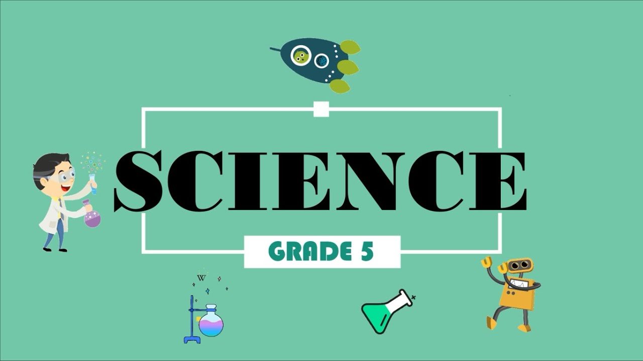 elastic collisions and conservation of momentum Flashcards - Quizizz