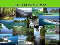 ecosistemas - Grado 1 - Quizizz