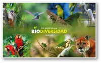 biodiversidade e conservação - Série 1 - Questionário