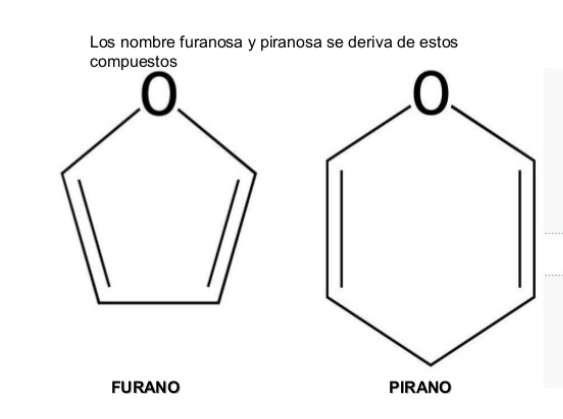 Cuestionario 14 Anomeros Alfa Y Beta De Las Furanosas Quiz Quizizz