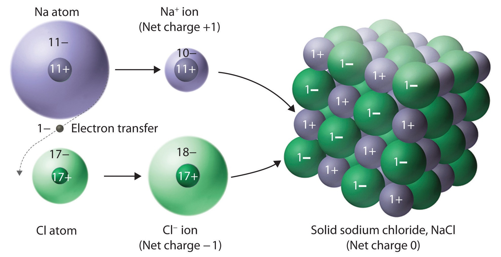 solids liquids and gases - Year 11 - Quizizz