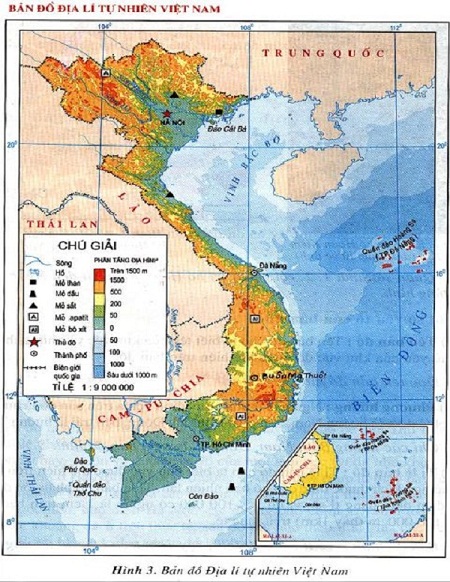 chọn lọc tự nhiên - Lớp 10 - Quizizz