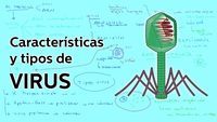 virus Tarjetas didácticas - Quizizz