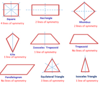 Lines of Symmetry - Grade 7 - Quizizz