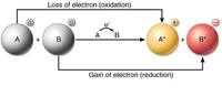 redox reactions and electrochemistry - Class 12 - Quizizz