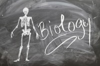 human biology - Grade 10 - Quizizz