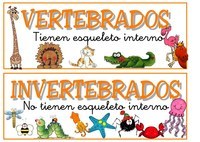 vertebrados e invertebrados Tarjetas didácticas - Quizizz