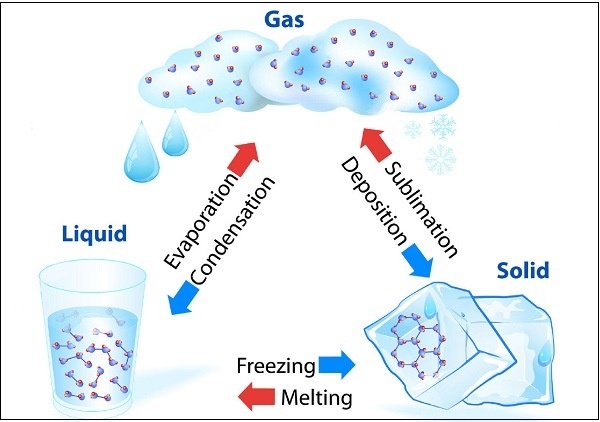 Chemistry matter and change test