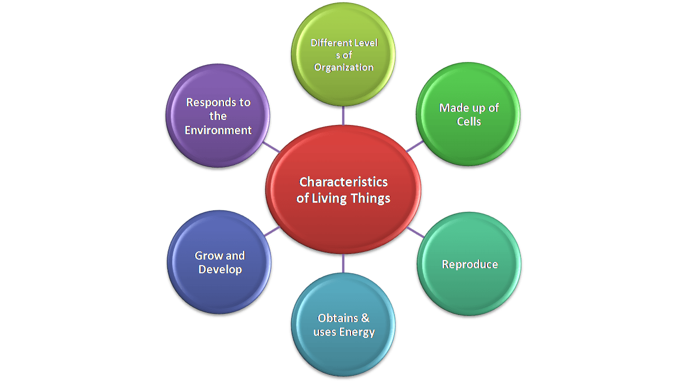 characteristics-of-living-organisms-science-quiz-quizizz