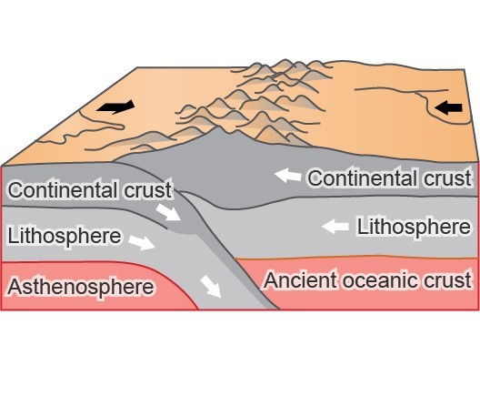 Plate Tectonics | Quizizz