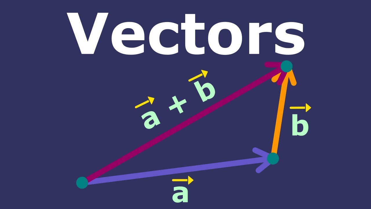 Algebra 2 - Class 12 - Quizizz