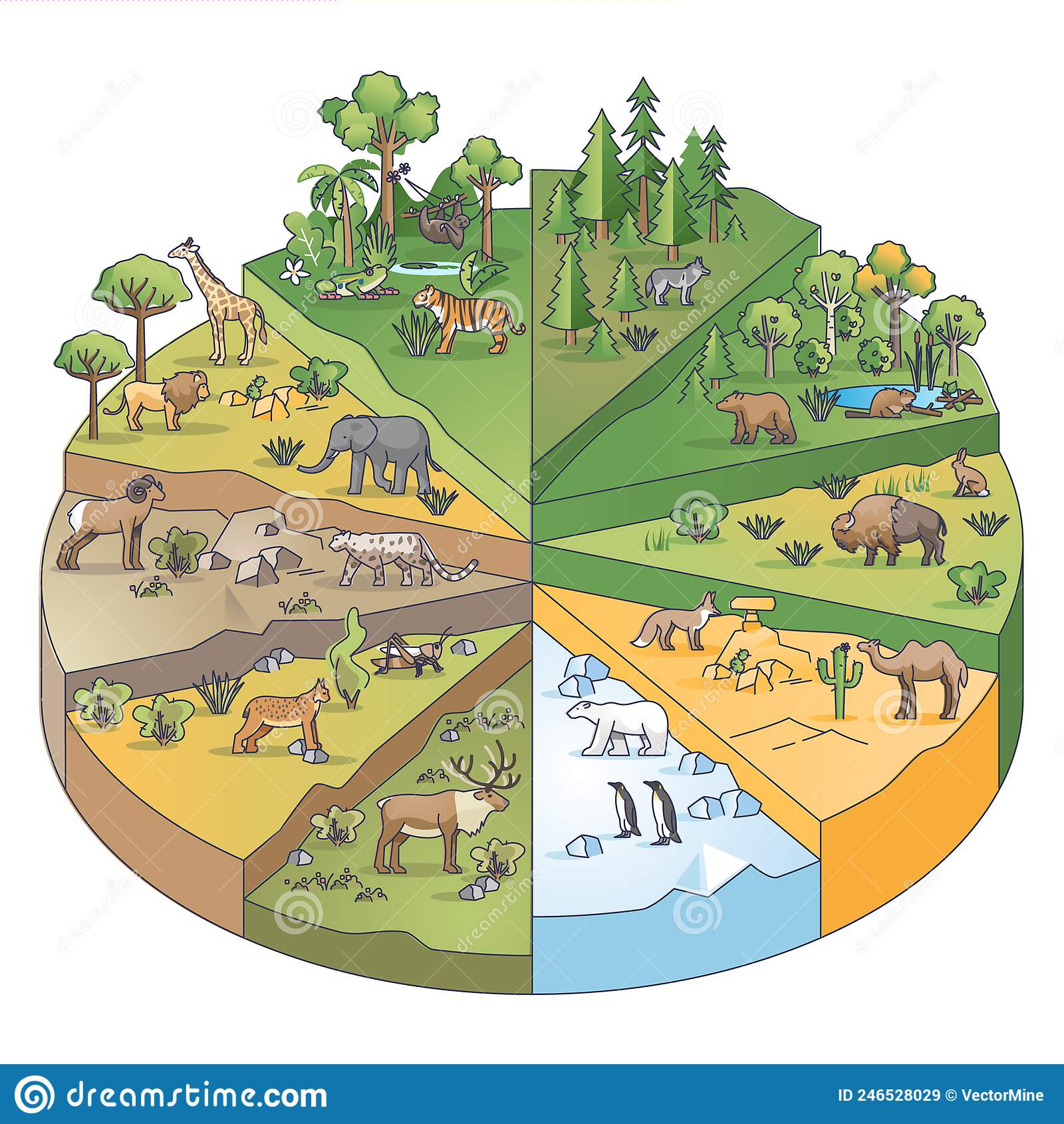 Animals And Habitats | Quizizz