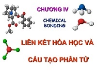 Sức khỏe & Sức khỏe Flashcards - Quizizz