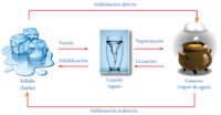 estados de la materia y fuerzas intermoleculares - Grado 3 - Quizizz