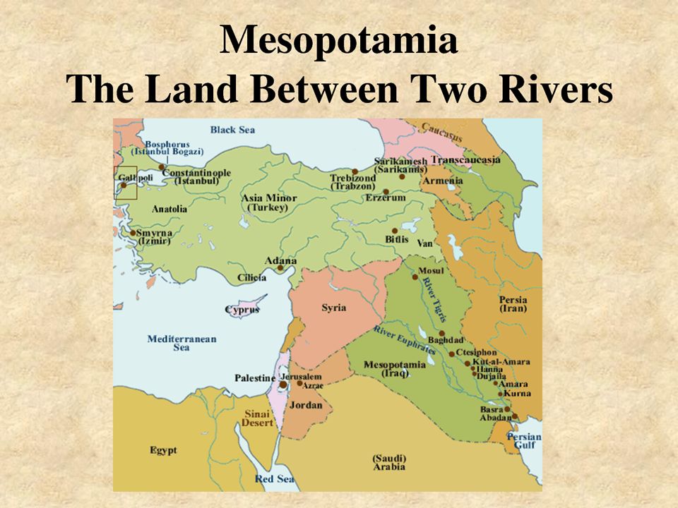 Mesopotamia Quiz | World History Quiz - Quizizz