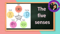 Matemática - Série 6 - Questionário