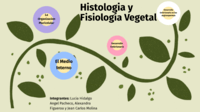 biologia vegetal - Série 10 - Questionário