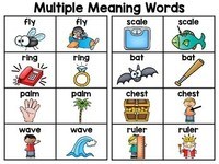 Multiple Syllable Words Flashcards - Quizizz