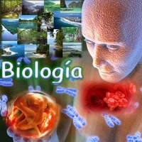 biología vegetal - Grado 5 - Quizizz