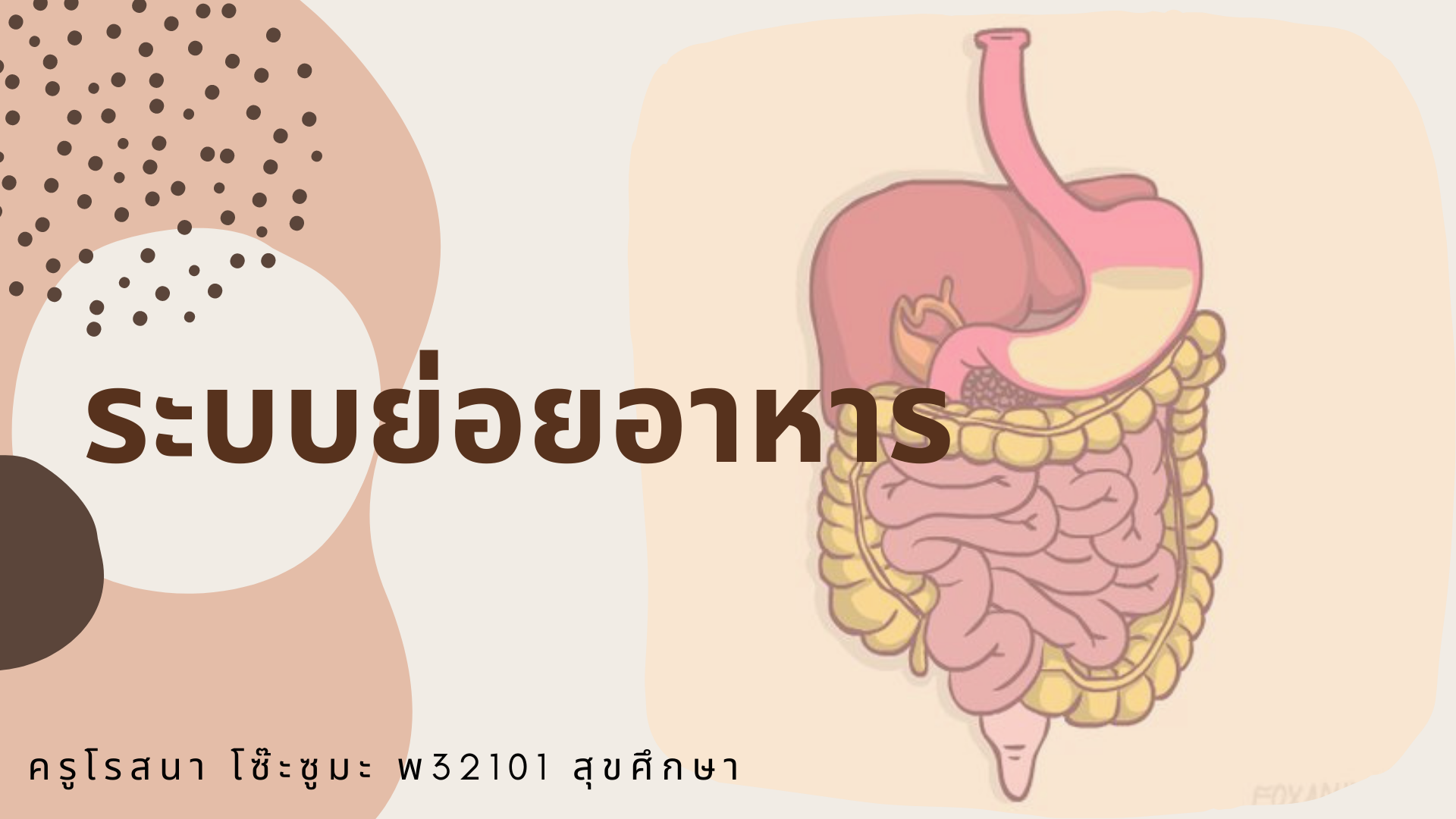 สุขศึกษา ม.5 | 194 Plays | Quizizz