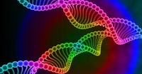 vocabulário de genética genótipo e fenótipo Flashcards - Questionário