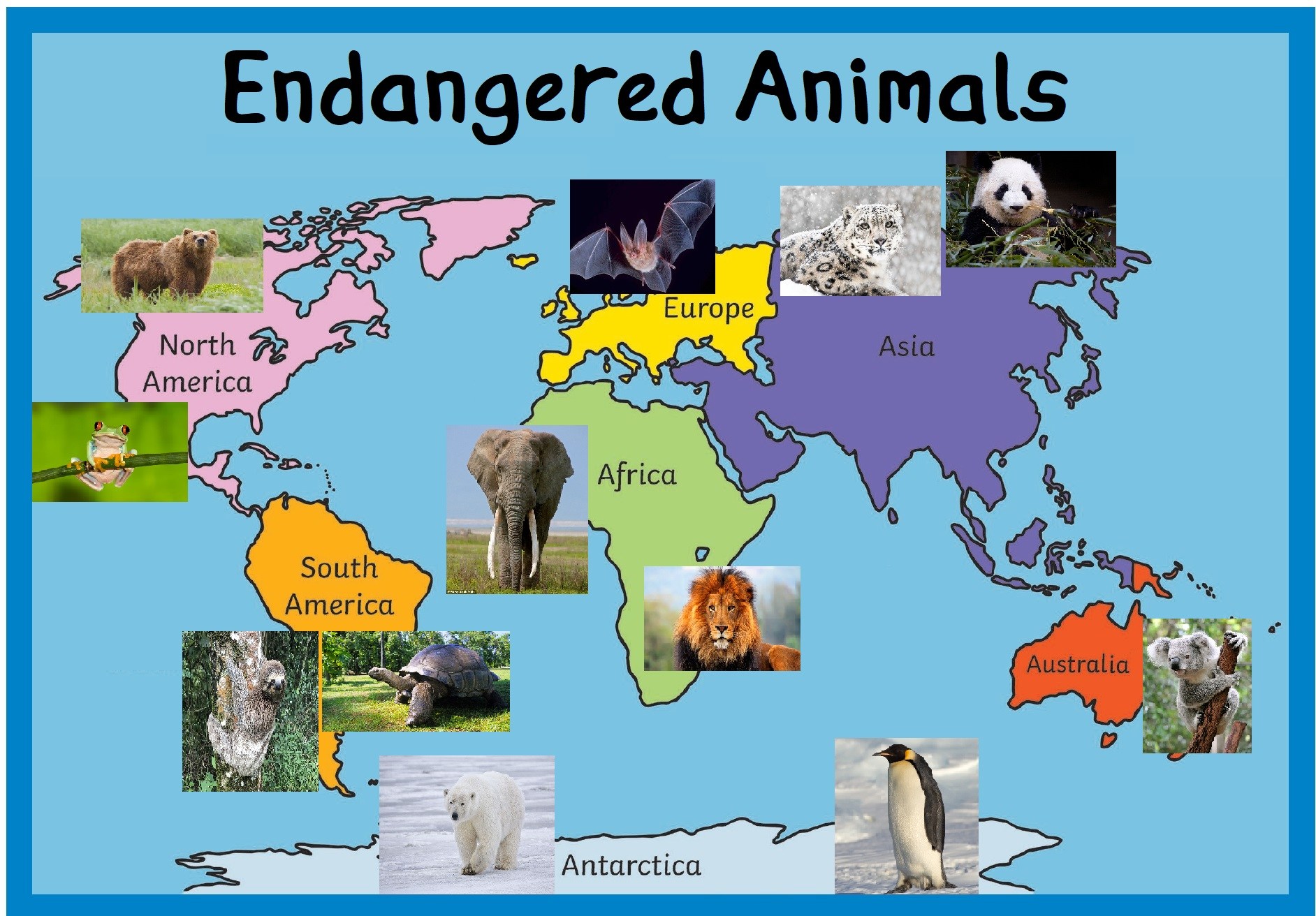 Endangered Animals English Quizizz