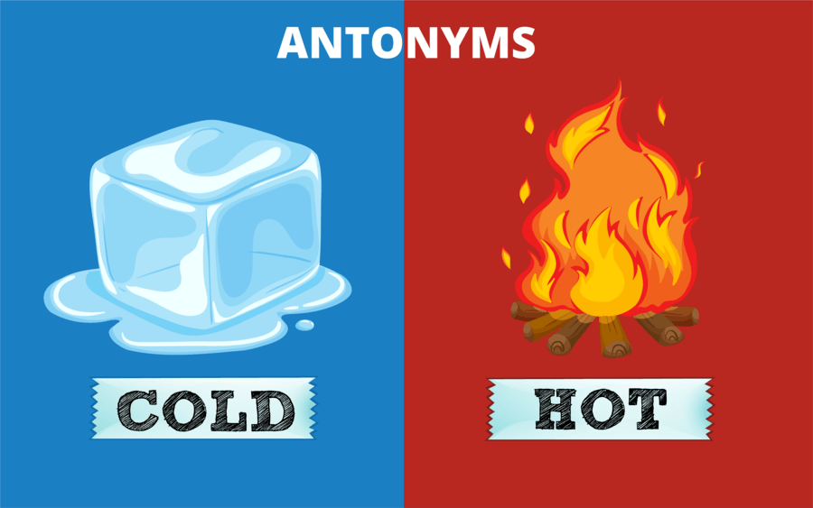 synonyms-and-antonyms-english-quizizz