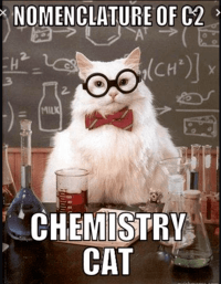 stoichiometry - Year 12 - Quizizz