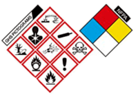 Pictographs - Year 9 - Quizizz