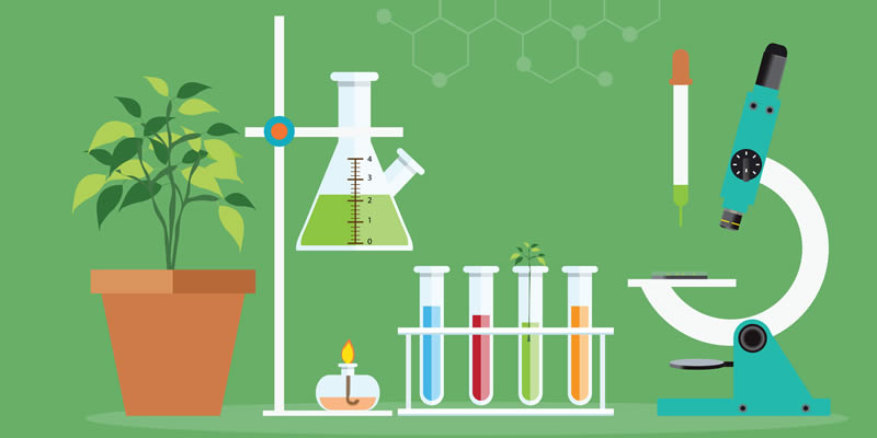 biologia do desenvolvimento - Série 4 - Questionário