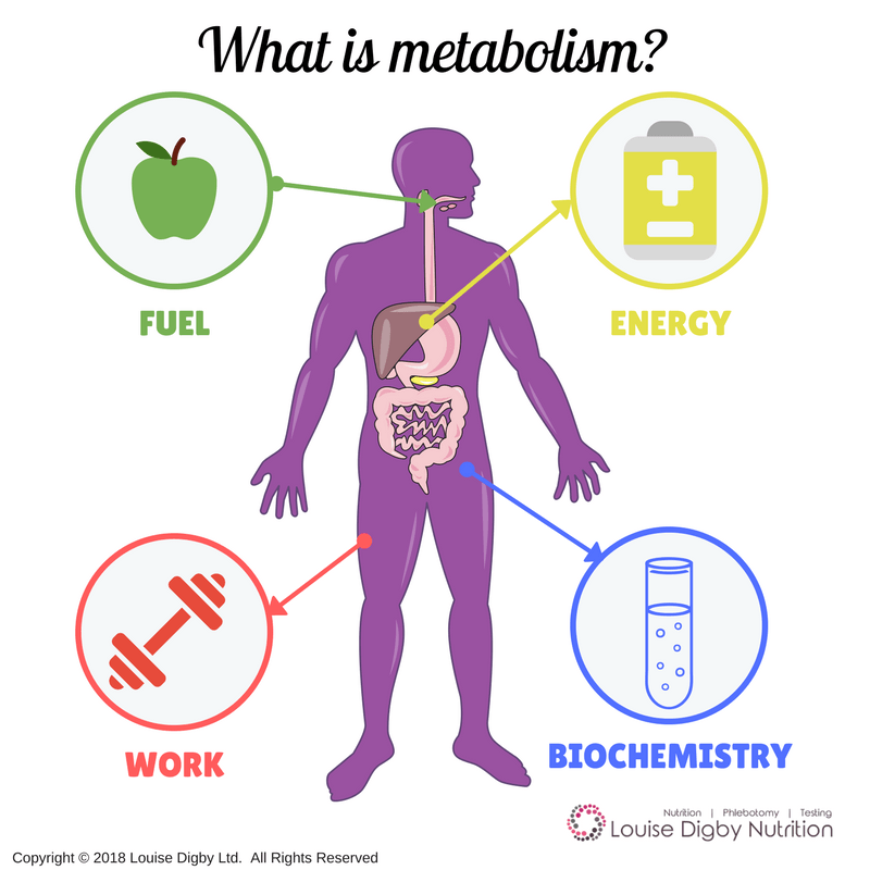 AP Biology: Metabolism and ATP | Biology - Quizizz