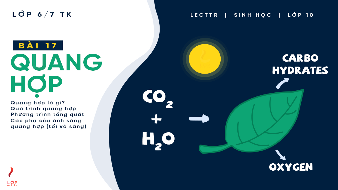 quang hợp - Lớp 10 - Quizizz