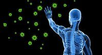 the immune system - Class 12 - Quizizz