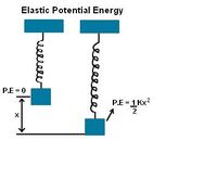 spring potential energy and hookes law - Grade 12 - Quizizz