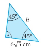 kwadraty Punnetta - Klasa 1 - Quiz