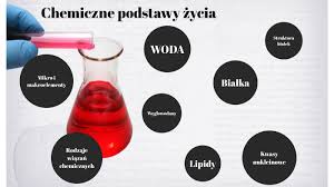 równowaga chemiczna - Klasa 1 - Quiz