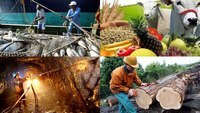 ACTIVIDADES PRODUCTIVAS Y ECONÓMICAS DEL ECUADOR