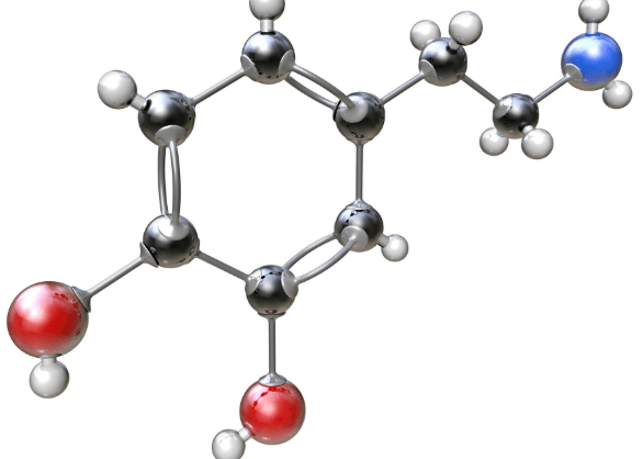 Polar and Nonpolar Molecules | 311 plays | Quizizz