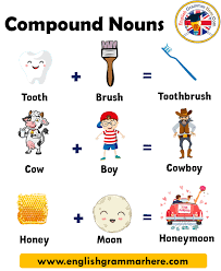 Structure of Compound Words - Class 6 - Quizizz