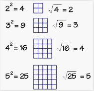 Squares - Grade 3 - Quizizz