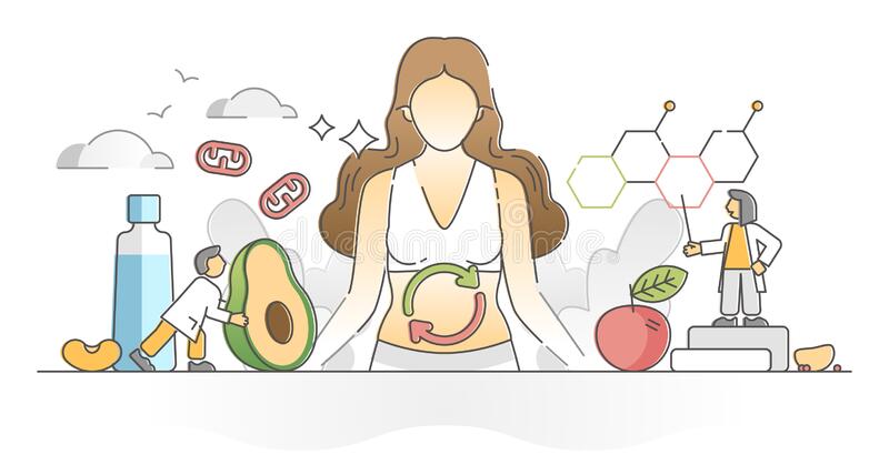 metabolisme - Kelas 4 - Kuis