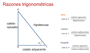 Funciones trigonométricas - Grado 9 - Quizizz