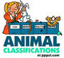 Animal Classes