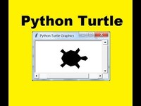 Python - Lớp 7 - Quizizz
