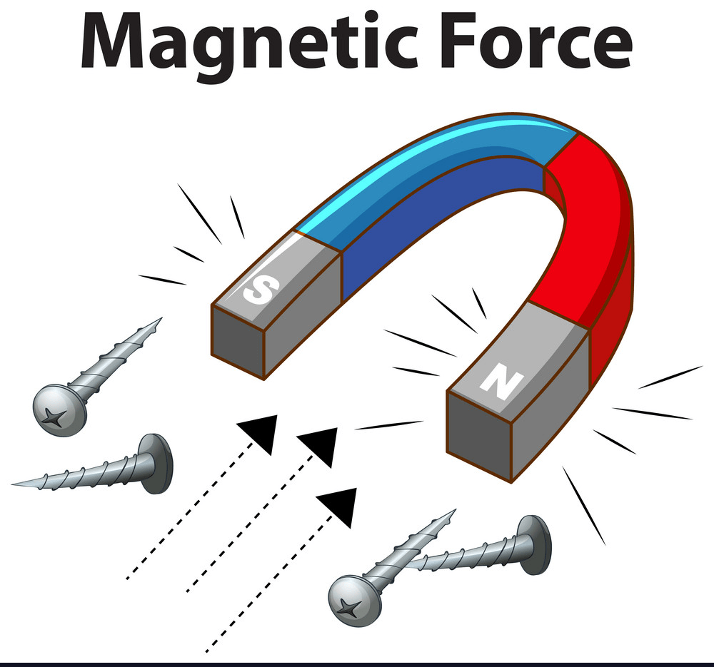 magnetic forces magnetic fields and faradays law - Class 3 - Quizizz