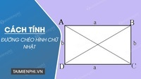 diện tích và chu vi - Lớp 3 - Quizizz