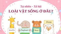 vật sống và vật không sống - Lớp 2 - Quizizz