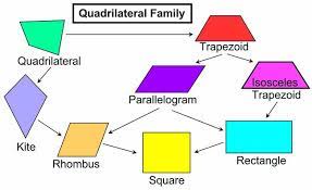 properties of quadrilaterals - Grade 7 - Quizizz