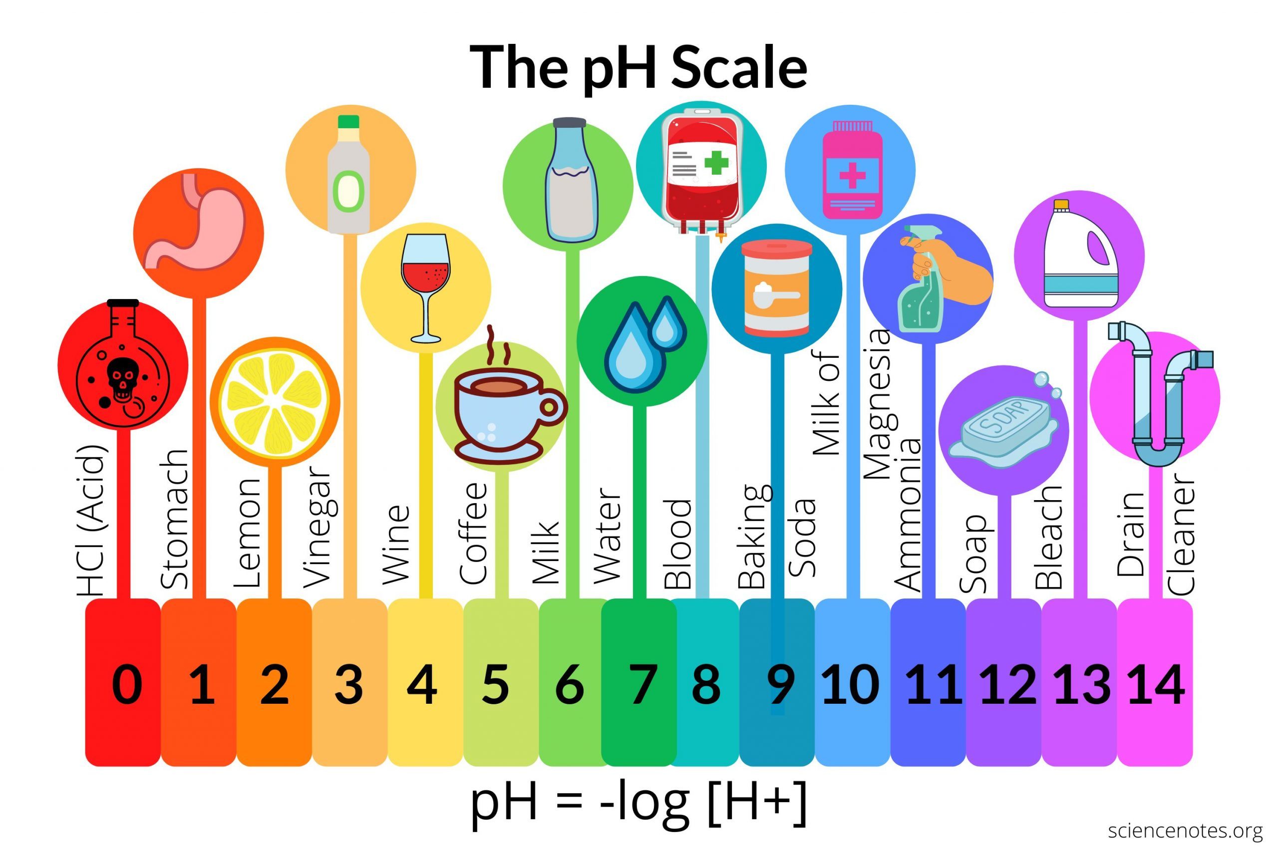 Acids, bases, and pH | Physics - Quizizz